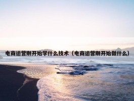 电商运营刚开始学什么技术（电商运营刚开始做什么）