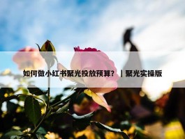 如何做小红书聚光投放预算？｜聚光实操版