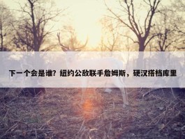 下一个会是谁？纽约公敌联手詹姆斯，硬汉搭档库里