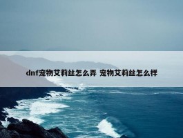 dnf宠物艾莉丝怎么弄 宠物艾莉丝怎么样