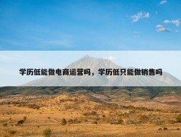 学历低能做电商运营吗，学历低只能做销售吗