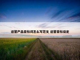 运营产品目标词怎么写范文 运营目标设定