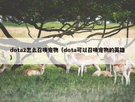 dota2怎么召唤宠物（dota可以召唤宠物的英雄）