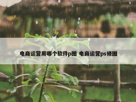 电商运营用哪个软件p图 电商运营ps修图