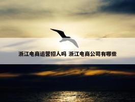 浙江电商运营招人吗 浙江电商公司有哪些