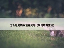 怎么让宠物生活更美好（如何培养宠物）