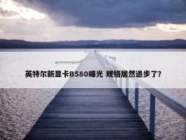 英特尔新显卡B580曝光 规格居然退步了？