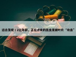 远古发现丨2亿年前，正在进食的昆虫竟被叶片“攻击”