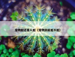 宠物脏还是人脏（宠物到底脏不脏）