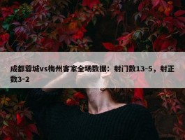 成都蓉城vs梅州客家全场数据：射门数13-5，射正数3-2