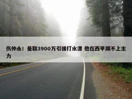 伤仲永！曼联3900万引援打水漂 他在西甲踢不上主力