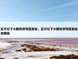 五万以下小额投资项目副业，五万以下小额投资项目副业有哪些