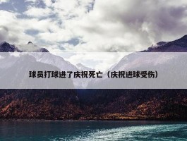 球员打球进了庆祝死亡（庆祝进球受伤）