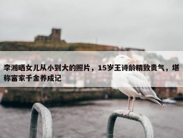 李湘晒女儿从小到大的照片，15岁王诗龄精致贵气，堪称富家千金养成记