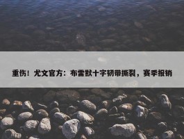 重伤！尤文官方：布雷默十字韧带撕裂，赛季报销