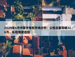 2024年8月中国充电桩市场分析：公桩总量突破326万，私桩增速迅猛