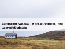 赵薇被强制执行8488元，名下多家公司被吊销，所持1850万股权仍被冻结