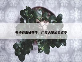 弗格迎来好帮手，广厦大腿加盟辽宁