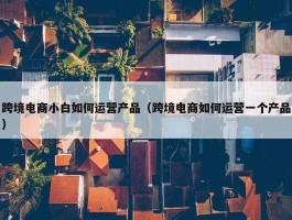 跨境电商小白如何运营产品（跨境电商如何运营一个产品）