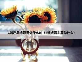 C端产品运营是做什么的（c端运营主要做什么）