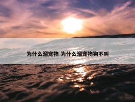 为什么溜宠物 为什么溜宠物狗不叫