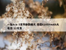 一加Ace 5系列参数曝光 搭载6200+mAh大电池 12月发