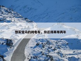 想买宝马的纯电车，你还得再等两年