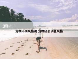 宠物不同风格照 宠物摄影调色风格