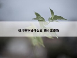 格斗宠物被什么克 格斗系宠物