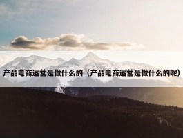 产品电商运营是做什么的（产品电商运营是做什么的呢）