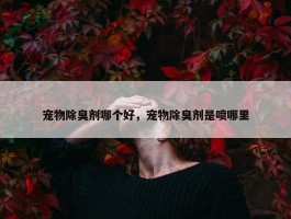 宠物除臭剂哪个好，宠物除臭剂是喷哪里