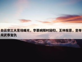 白云宗三大意境曝光，李慕婉限时回归，王林报恩，坐等周武泰复仇