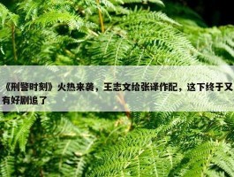 《刑警时刻》火热来袭，王志文给张译作配，这下终于又有好剧追了