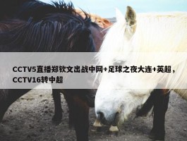 CCTV5直播郑钦文出战中网+足球之夜大连+英超，CCTV16转中超