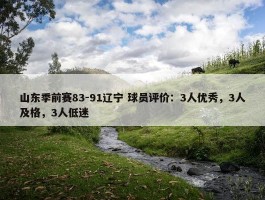 山东季前赛83-91辽宁 球员评价：3人优秀，3人及格，3人低迷