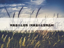 阿典是什么宠物（阿典是什么宠物品种）