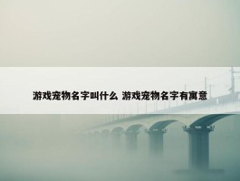 游戏宠物名字叫什么 游戏宠物名字有寓意