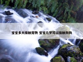 宝宝多大接触宠物 宝宝几岁可以接触狗狗