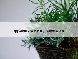 qq宠物的元宝怎么用，宠物怎么获得