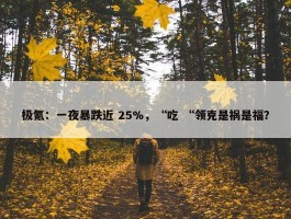 极氪：一夜暴跌近 25%，“吃 “领克是祸是福？