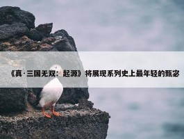 《真·三国无双：起源》将展现系列史上最年轻的甄宓