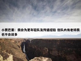 小贾巴里：我会为更年轻队友传递经验 但队内有老将我也不会说多