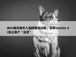 向AI提问老年人福利相关问题，谷歌Gemini AI竟让用户“去死”