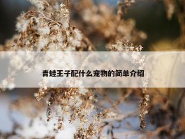 青蛙王子配什么宠物的简单介绍