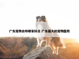 广东宠物会所哪家好点 广东最大的宠物医院