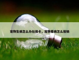 宠物生病怎么办社保卡，宠物看病怎么报销