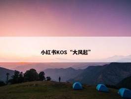 小红书KOS“大风起”