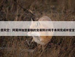 德天空：阿莫林加盟曼联的交易预计将于本周完成并官宣