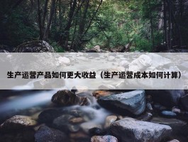 生产运营产品如何更大收益（生产运营成本如何计算）