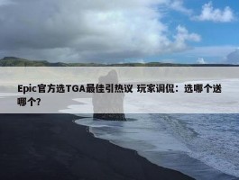 Epic官方选TGA最佳引热议 玩家调侃：选哪个送哪个？